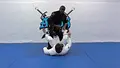 The Guard Passing Clinic by Ronaldo Junior image 5