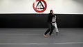 Brazilian Jiu Jitsu Requirements: Purple Belt 2.0 by Roy Dean image 4