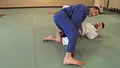 Brazilian Jiu Jitsu Brown Belt Requirements by Roy Dean image 3