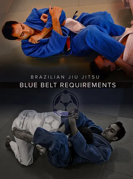 Brazilian Jiu Jitsu Blue Belt Requirements by Roy Dean
