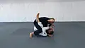 Pass Any Guard: The Principles of Passing by Roy Dean image 2