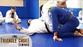 The Triangle Choke Seminar by Roy Dean image 3