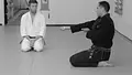 Jiu Jitsu Crash Course by Roy Dean image 4