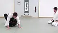 Countering Jiu Jitsu: A Beginners Guide by Roy Dean image 4