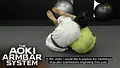 The Aoki Arm Bar System by Shinya Aoki image 3