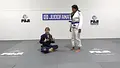 Lethal Spider Guards Attacks by Sophia McDermott image 4