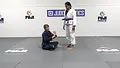 Lethal Spider Guards Attacks by Sophia McDermott image 5