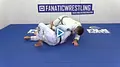 Fundamentals of Side Control Escapes by Pedro Sauer image 5