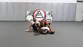 No Gi Side Control by Pedro Sauer image 4