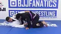 Gracie Fundamentals: Side Control Escapes by Rayron Gracie image 5