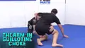 The Arm-In Guillotine Choke by Ricardo Almeida image 3
