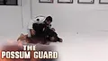 The Possum Guard by Ricardo Vieira image 3
