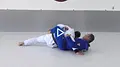 The Banana Guard Submissions System by Roberto Tozi image 4