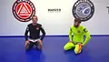 The Mirroring Principle: Head Control Based Offense and Defense by Wim Deputter image 6