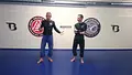 The Mirroring Principle: Fundamental Self Defense by Wim Deputter image 4