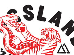 Mountain Mayhem Submission Grappling 3