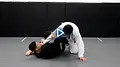 Single Leg X Beyond The Basics by Thomas Lisboa image 5
