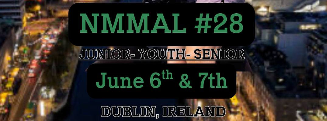 National MMA League 28