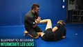 Blue Print to Beginner: Intermediate Leglocks by Tom DeBlass image 3