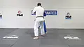 American Judo System: Tomoe Nage Encyclopedia by Jimmy Pedro & Travis Stevens image 4