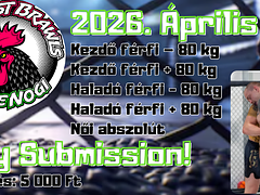 Budapest Brawls VII. (NoGi Only Submission)