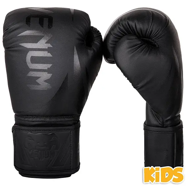 Venum Boxing Gloves Kids Challenger 2.0 black/black