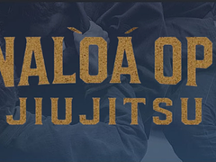 Sinaloa Open
