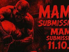 MAMMAL Submission Series 1