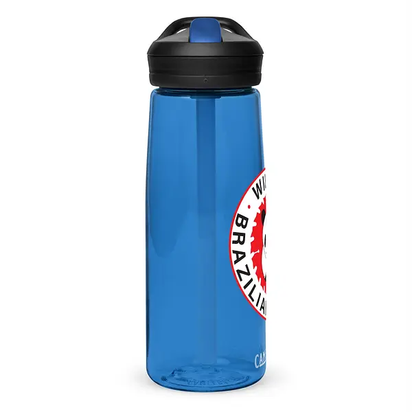 Sports water bottle