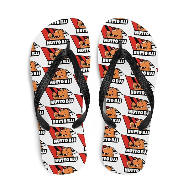 Flip-Flops