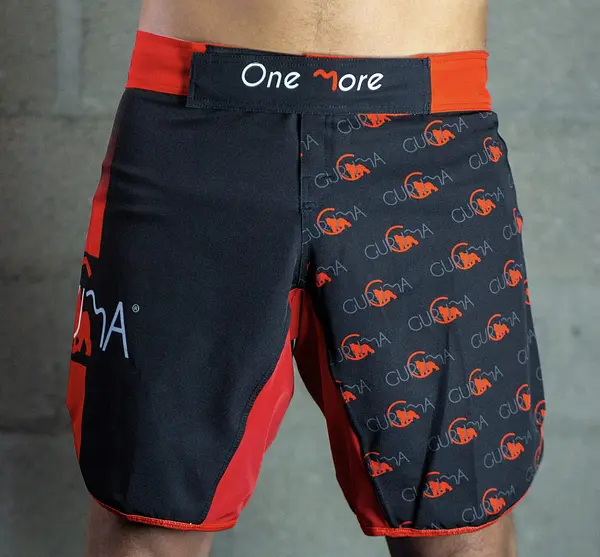 Fight short