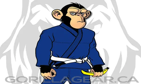 “Only BIG Sizes” Fundamentals Brazilian Jiu-jitsu  Gis