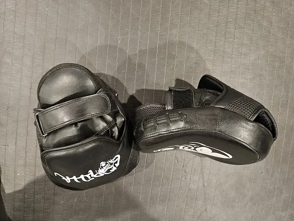Curved Focus Mitts