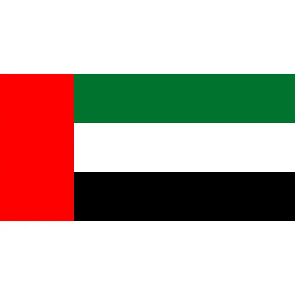 Custom Flag Patch