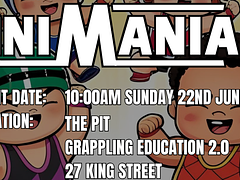 Mini Mania 2
