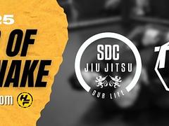 Hispafight 2025 Year Of The Snake