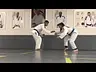 Um show de jiu-jítsu feminino