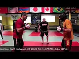 Hayastan MMA Academy Fighters 2013
