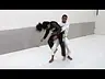 Defesa Pessoal Feminina - Professora Thayse