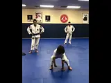 Capoeira Brasil