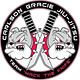 Mequinho Jiu-Jitsu Academy logo