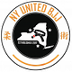 NY United BJJ logo
