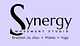 Muskoka Synergy BJJ logo