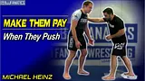Practical Jiu Jitsu Michael Heinz DVD Review [2026]