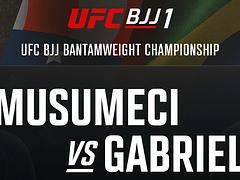 UFC BJJ 1