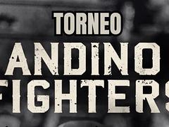 Andino Fighters XIX LUCHAS CASADAS GI Y NO GI